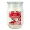 17oz. Christmas Scented Jar Candle by Ashland®